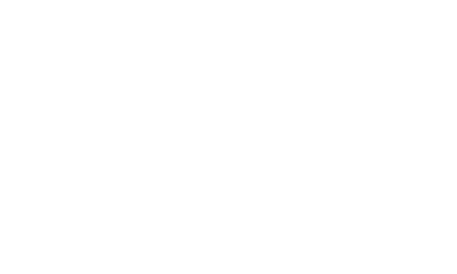 Visa Partner Logo